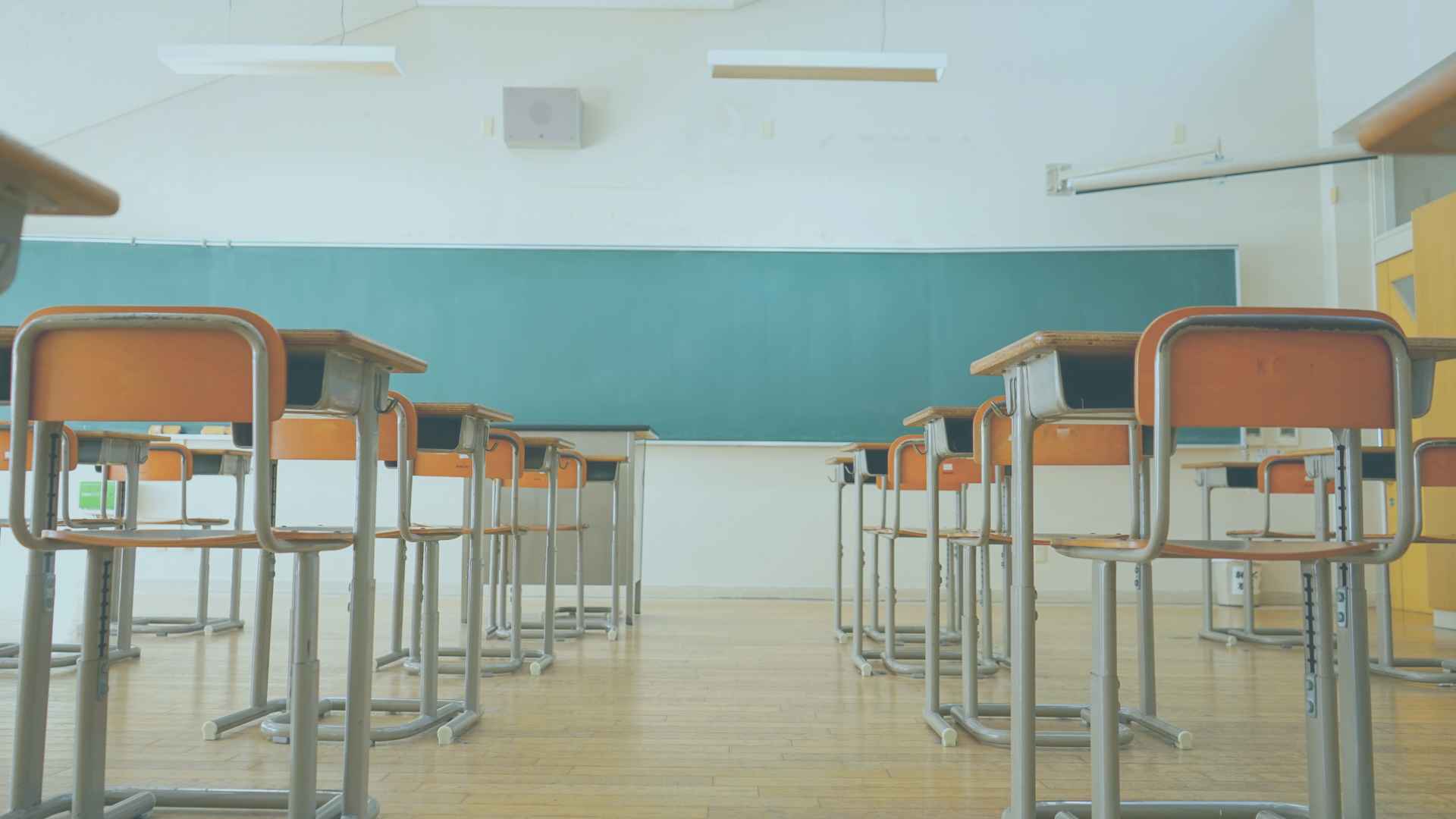 英語は得意じゃなかった。でも好きだった。